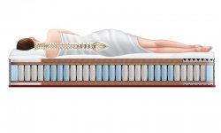 Sportletica Power-Expert standart - 1 (изображение 1)  Sportletica Power-Expert standart - 1 (фото, изображение 1)