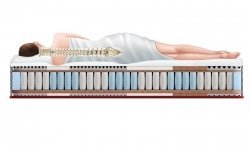 Sportletica Run-Expert standart - 1 (изображение 1)  Sportletica Run-Expert standart - 1 (фото, изображение 1)