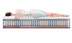 Sportletica Swim-Expert massage - 1 (изображение 1)  Sportletica Swim-Expert massage - 1 (фото, изображение 1)