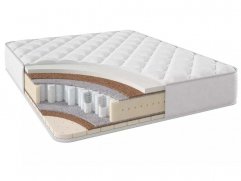 Негус ТФК Негус ТФК